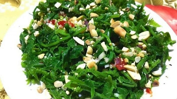 Vậy là chúng ta đã hoàn thành xong món nộm rau dớn đúng chuẩn vị của người Thái rồi đó Vậy là chúng ta đã hoàn thành xong món nộm rau dớn đúng chuẩn vị của người Thái rồi đó