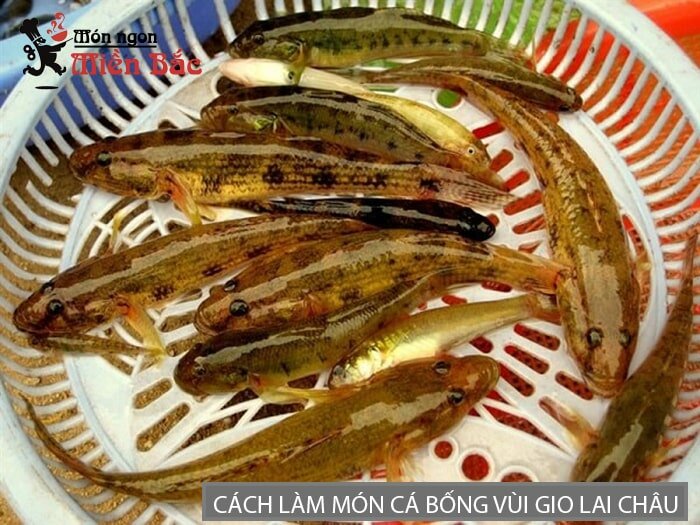 Cá bống vùi gio cần được lựa những con kích thước đều nhau