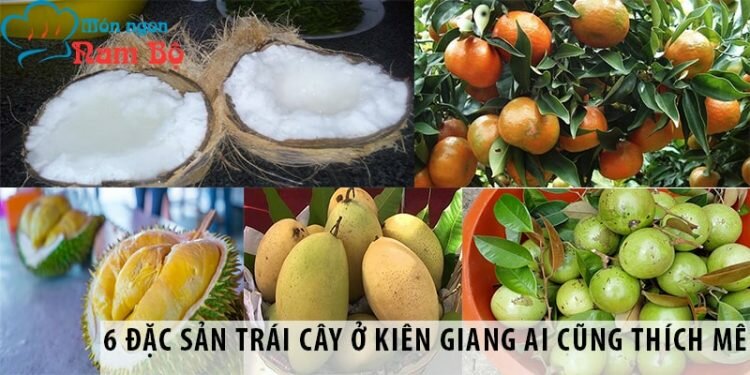 6 đặc sản trái cây ở Kiên Giang ai cũng thích mê 6 đặc sản trái cây ở Kiên Giang ai cũng thích mê