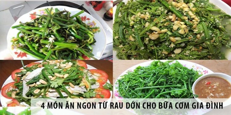 4 món ăn ngon từ rau dớn cho bữa cơm gia đình