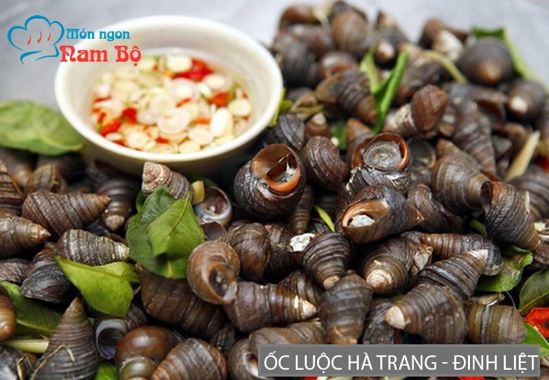 Món ốc luộc ngon tuyệt hảo Món ốc luộc ngon tuyệt hảo
