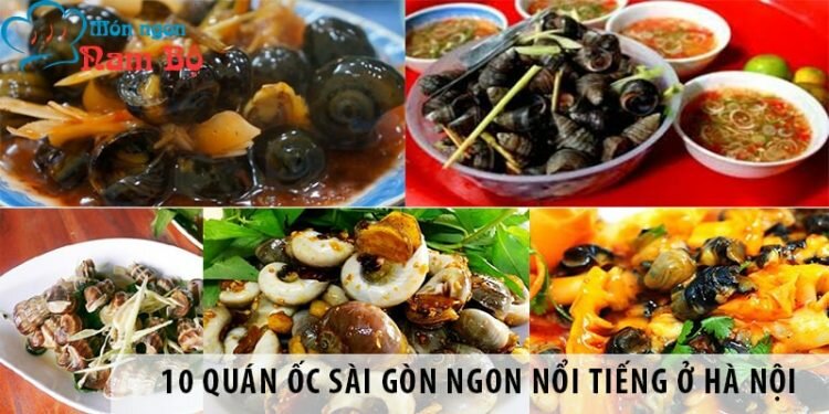 Khám phá 10 quán ốc Sài Gòn ngon nổi tiếng ở Hà Nội Khám phá 10 quán ốc Sài Gòn ngon nổi tiếng ở Hà Nội
