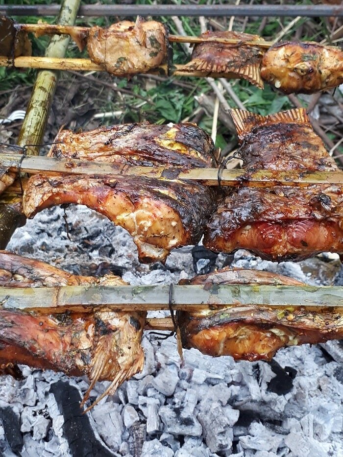 cá tầm nướng than hoa cá tầm nướng than hoa