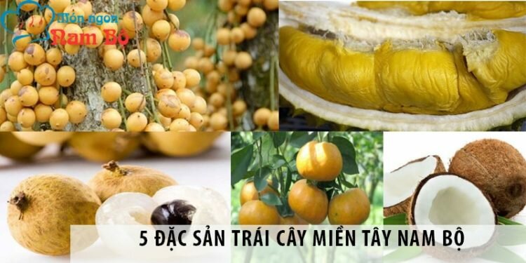 5 đặc sản trái cây miền Tây Nam Bộ nhất định phải thử 5 đặc sản trái cây miền Tây Nam Bộ nhất định phải thử