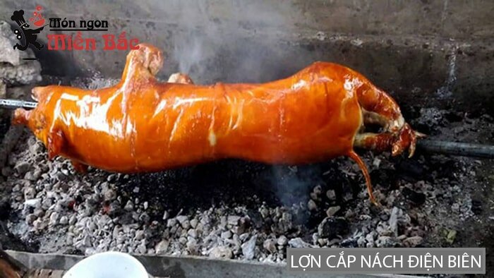 Đặc sản lợn cắp nách Lai Châu