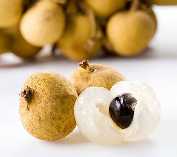Nhãn xuồng cùi dày, giòn, vị ngọt thanh Nhãn xuồng cùi dày, giòn, vị ngọt thanh