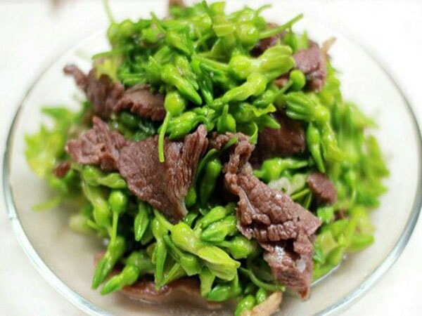 Thiên lý có thể chế biến thành nhiều món hấp dẫn như thiên lý xào thịt bò món ăn từ hoa 2