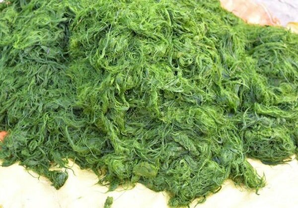 Sự tích về món rêu đá tại Lai Châu 6 món rêu đá 7