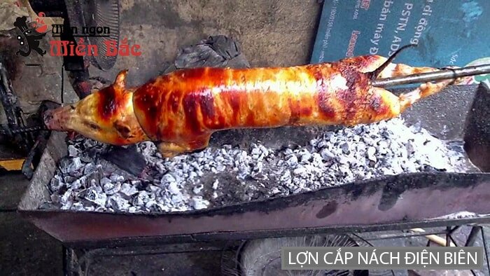 Đặc sản lợn cắp nách Lai Châu