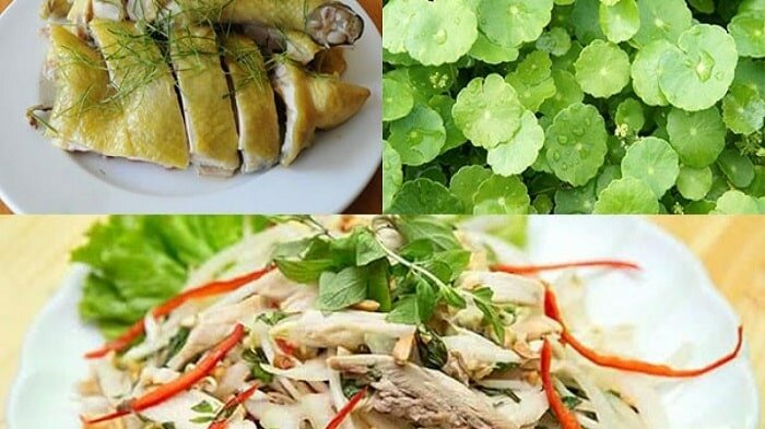 Món nộm rau má thịt gà hấp dẫn Món nộm rau má thịt gà hấp dẫn