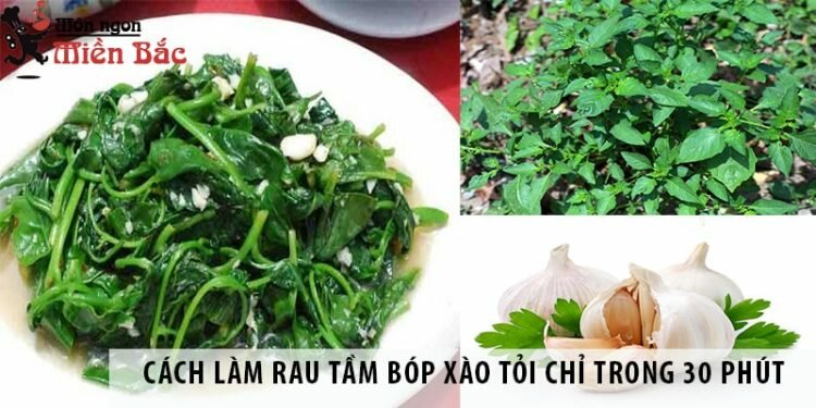 Cách làm rau tầm bóp xào tỏi chỉ trong 30 phút
