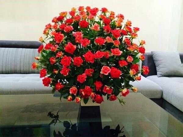 Hoa hồng được cắm theo kiểu mái vòm