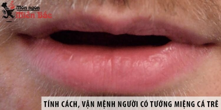 Tính cách, vận mệnh người có tướng miệng cá trê ra sao? Tính cách, vận mệnh người có tướng miệng cá trê ra sao?
