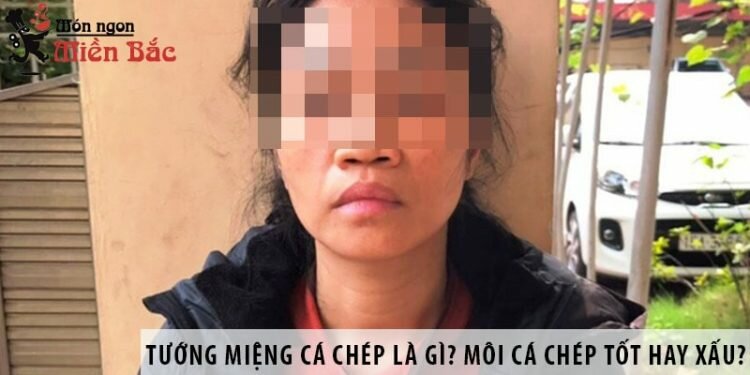 Tướng miệng cá chép là gì? Người có môi cá chép tốt hay xấu?