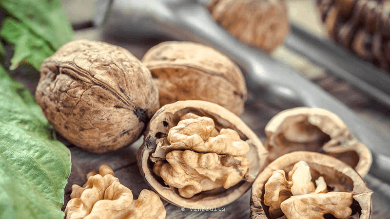 Hạt óc chó chứa lượng vitamin E và polyphenol dồi dào giúp ngăn ngừa ung thư vú và lão hóa vô cùng hiệu quả Hạt óc chó chứa lượng vitamin E và polyphenol dồi dào giúp ngăn ngừa ung thư vú và lão hóa vô cùng hiệu quả