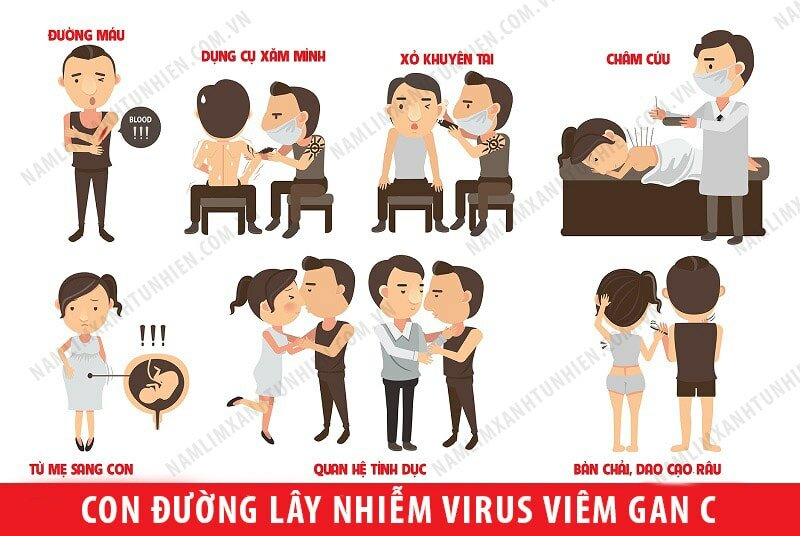 Các con đường lây nhiễm bệnh viêm gan C Các con đường lây nhiễm bệnh viêm gan C