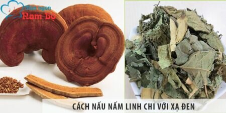 Cách nấu nấm linh chi với xạ đen, hướng dẫn uống đúng cách