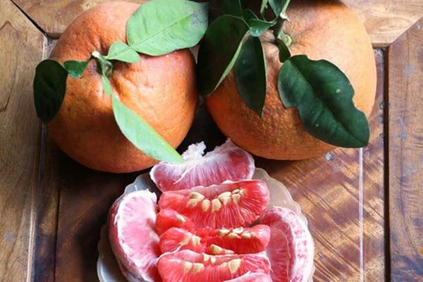 Bưởi tiến vua Thanh Hóa