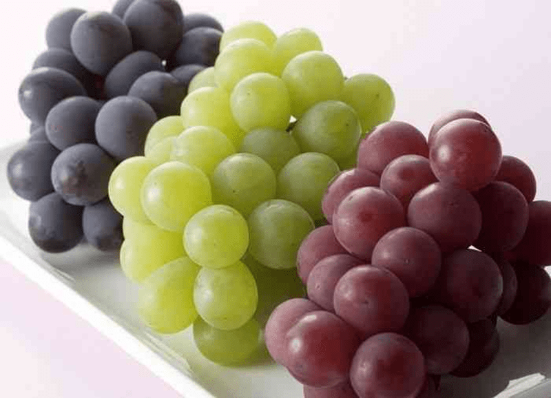 Quả nho có tốt cho phổi không?