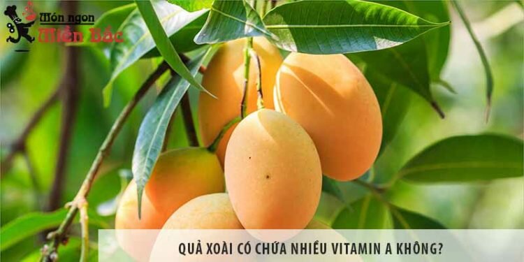 Quả xoài có chứa nhiều vitamin A không?
