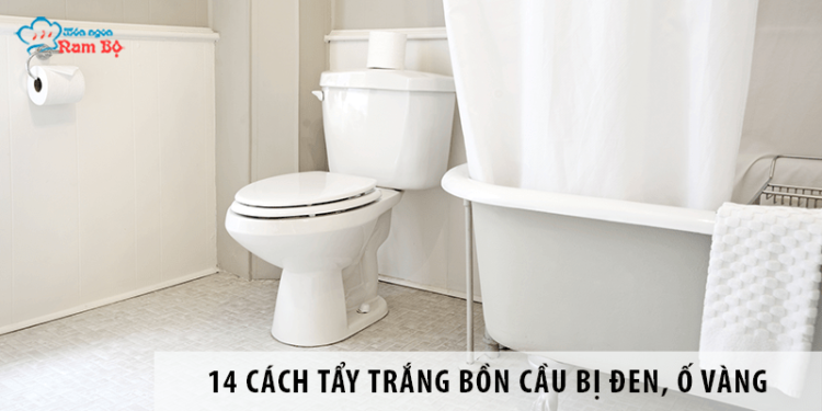 14 Cách tẩy trắng bồn cầu bị đen, ố vàng lâu ngày hiệu quả