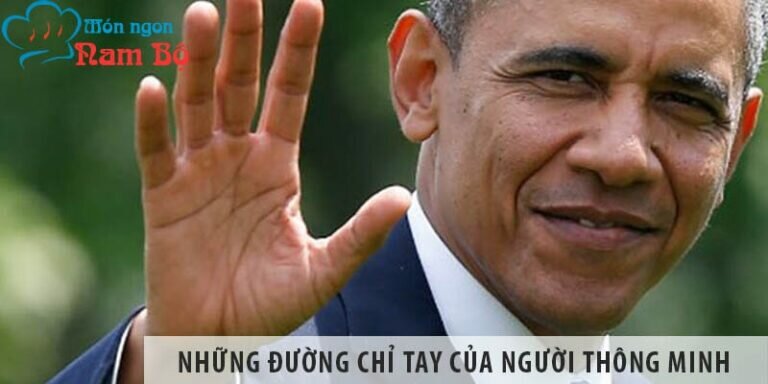 Top những đường chỉ tay của người thông minh Top những đường chỉ tay của người thông minh