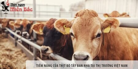 Tiềm năng của thịt bò Tây Ban Nha tại thị trường Việt Nam