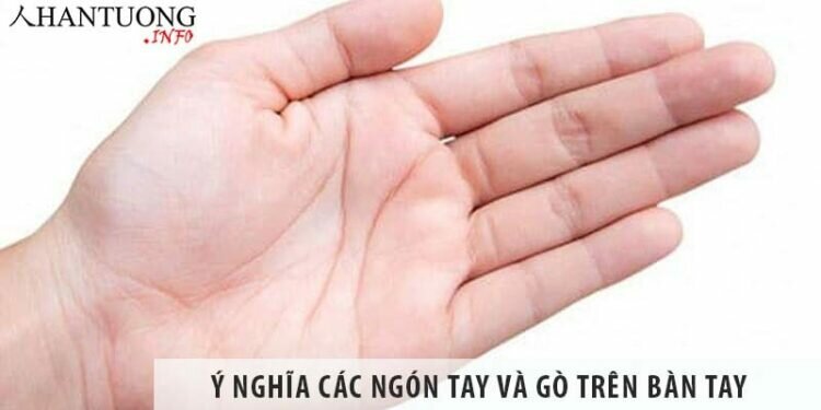 Ý nghĩa các ngón tay và gò trên bàn tay như thế nào? Ý nghĩa các ngón tay và gò trên bàn tay như thế nào?
