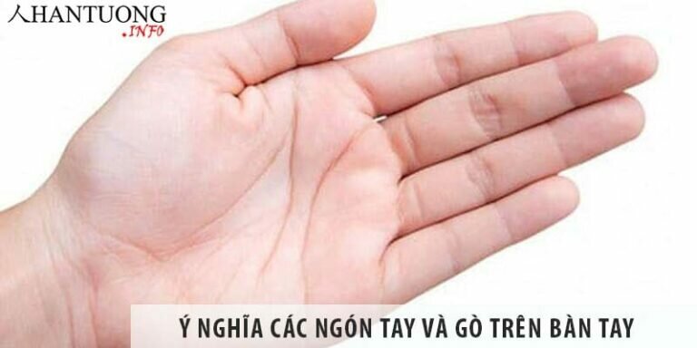 Ý nghĩa các ngón tay và gò trên bàn tay như thế nào? Ý nghĩa các ngón tay và gò trên bàn tay như thế nào?