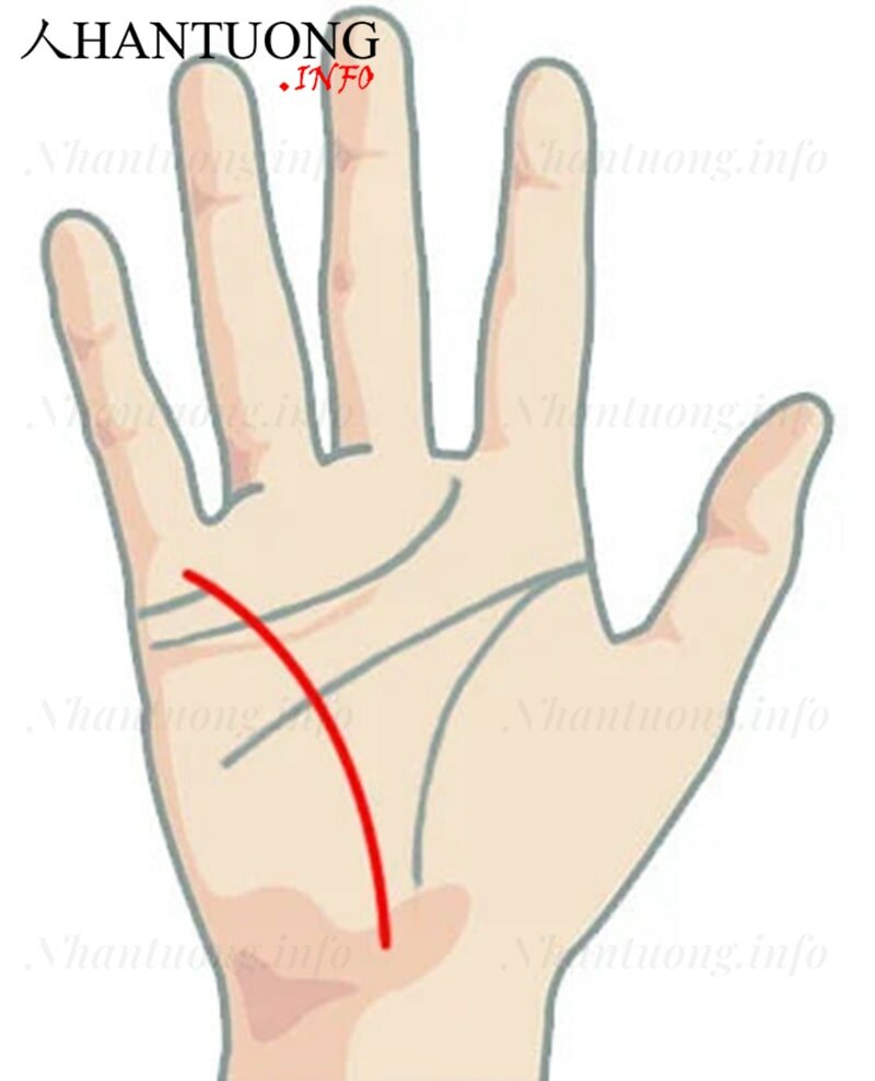 Vị trí của đường thủy tinh Vị trí của đường thủy tinh