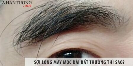 Sợi lông mày mọc dài bất thường thì sao? Sợi lông mày mọc dài bất thường thì sao?
