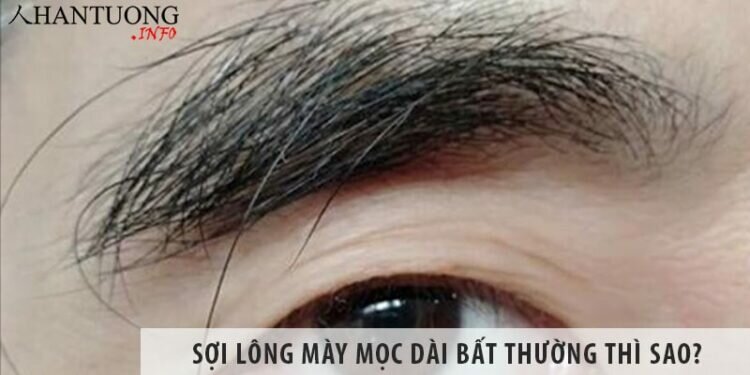 Sợi lông mày mọc dài bất thường thì sao? Sợi lông mày mọc dài bất thường thì sao?