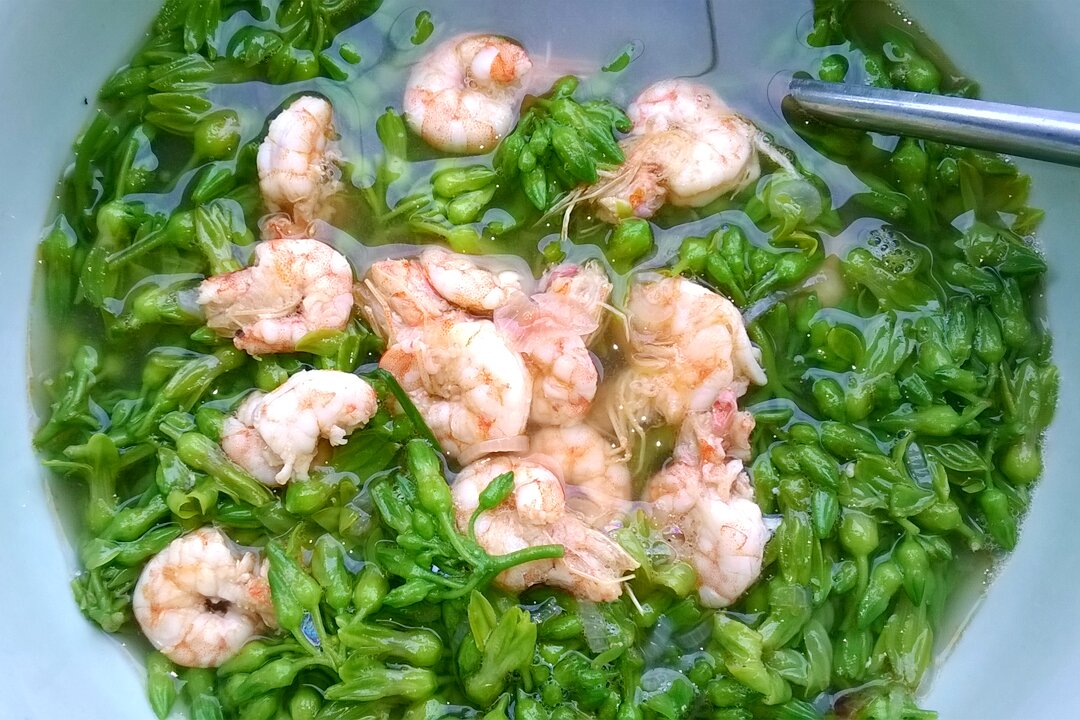 Canh thiên lý nấu tôm