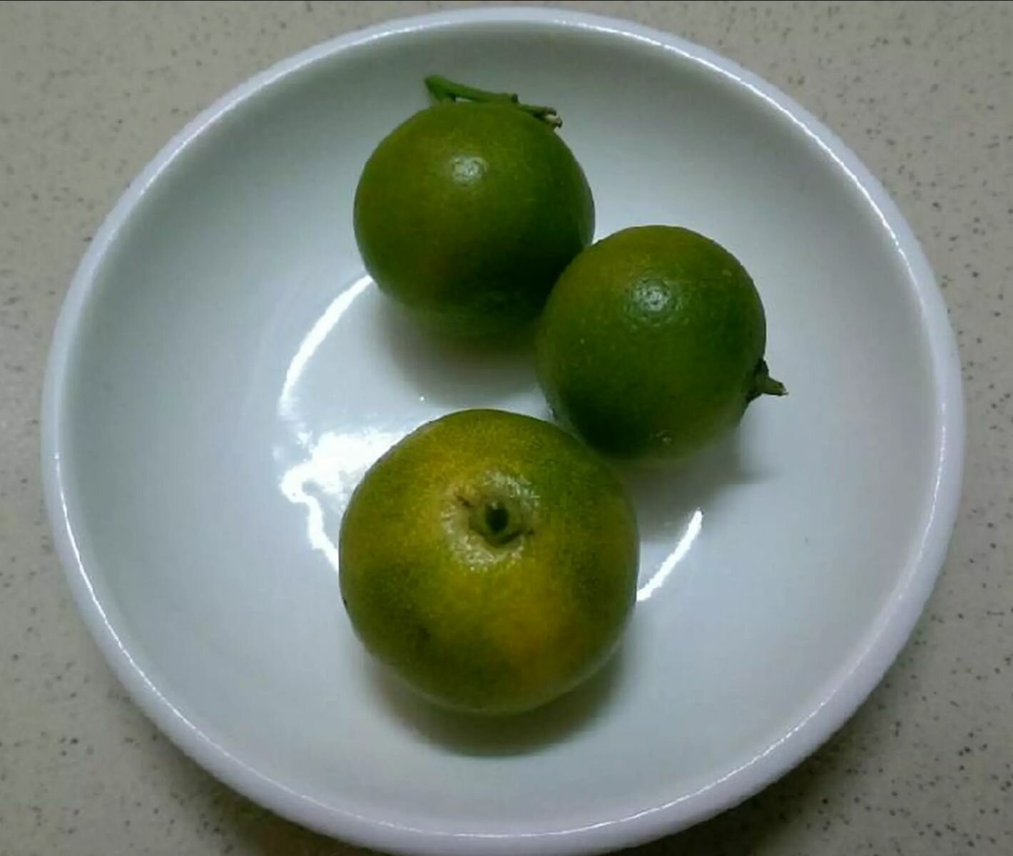 goi buoi du du tom thit 6